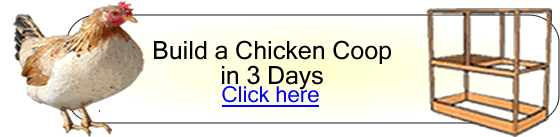 Inexpensive Chicken Coops